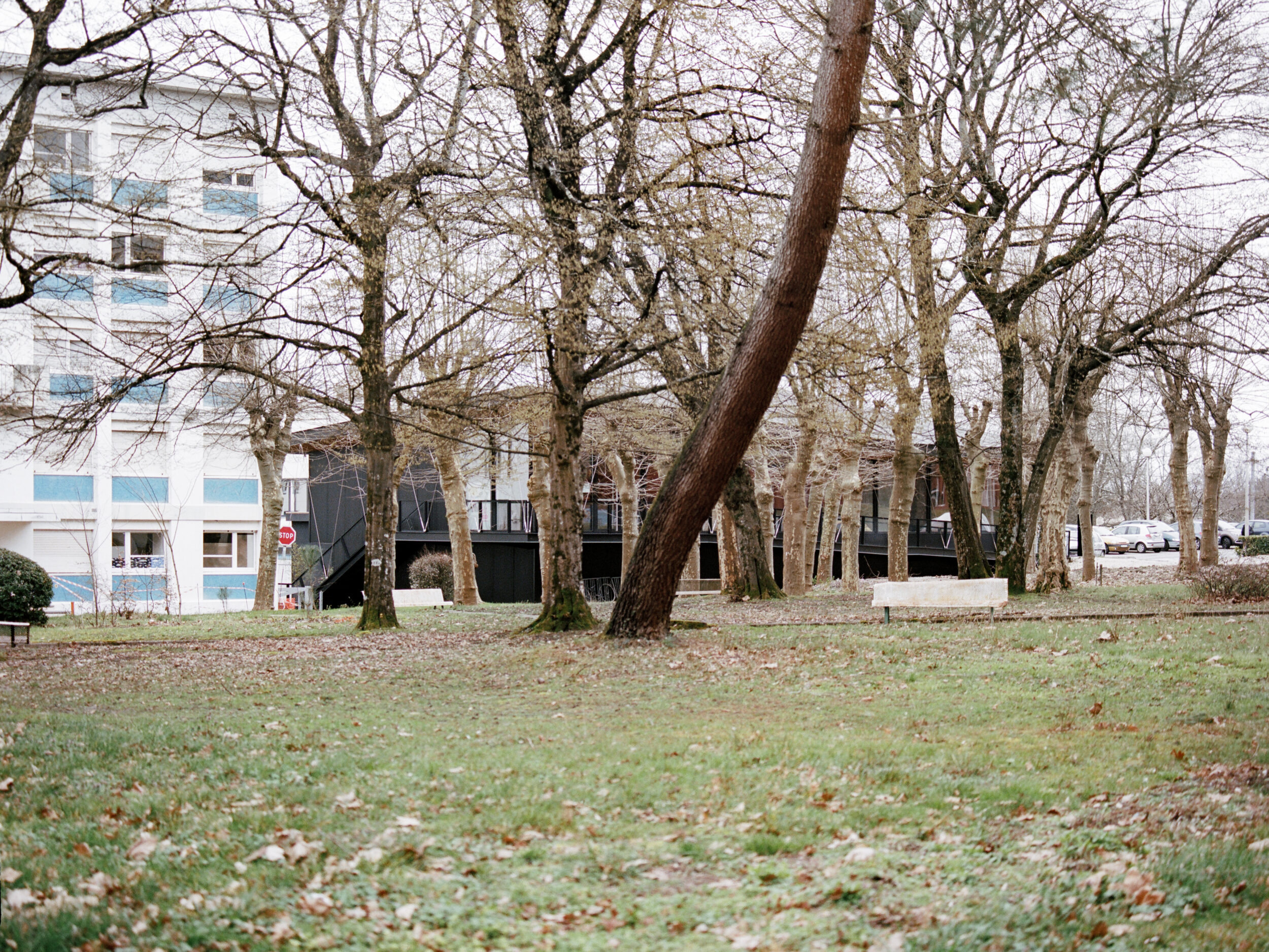 Pavillon étudiant - Vincent Lavergne